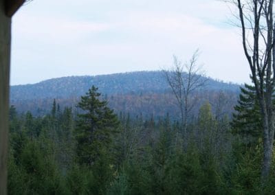 View from front porch of Mountain View Camp